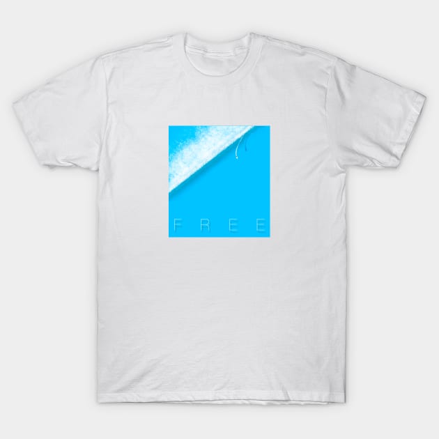 Free T-Shirt by Glap